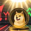 Dogecoin cerca la ripresa dopo le perdite