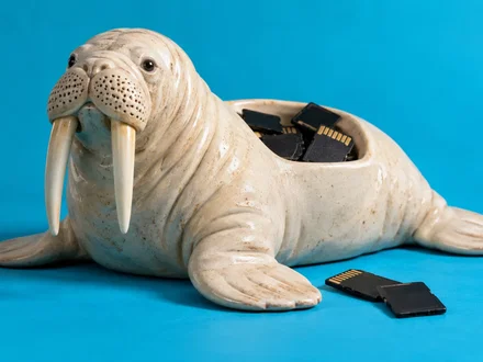 Cos'è Walrus (WAL) e perché oggi fa +42,9%