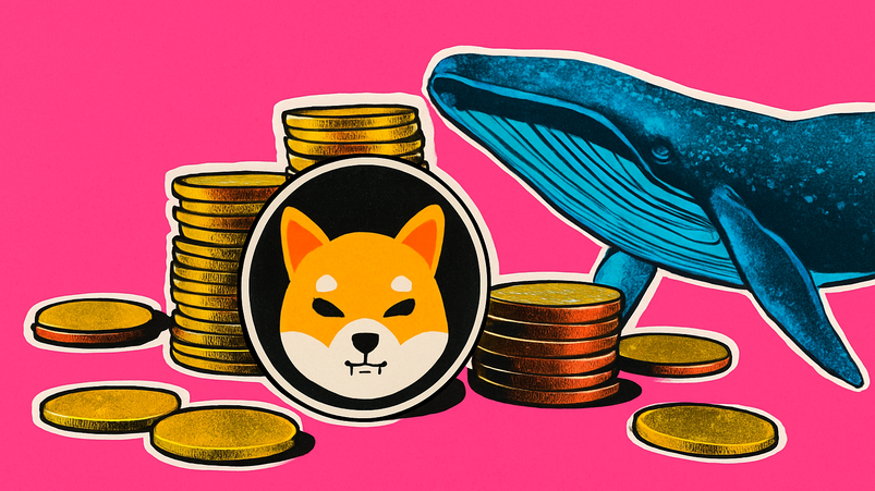 Balena Shiba Inu si risveglia dopo sei mesi