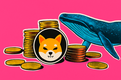 Balena Shiba Inu si risveglia dopo sei mesi