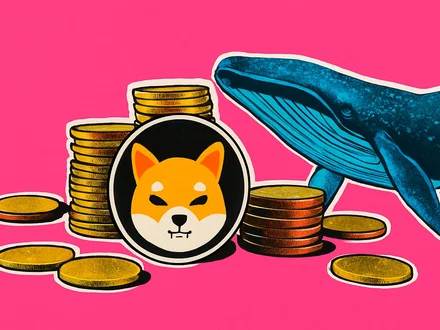 Balena Shiba Inu si risveglia dopo sei mesi