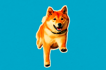 Bitcoin crollerà del 50% entro fine 2026