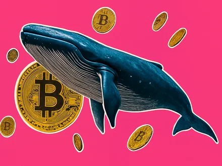Bitcoin: le balene acquistano più dei retail
