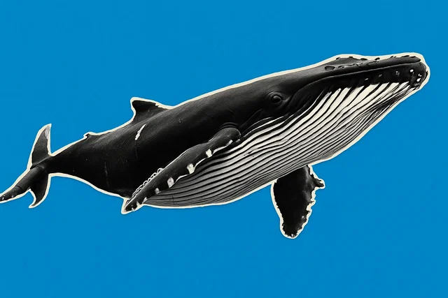 Bitcoin, le whale vendono ai retail: segnale ribassista