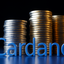 Cardano può creare milionari?