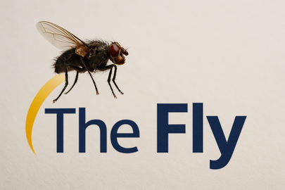 Coinbase promossa, Meta bocciata da Wall Street