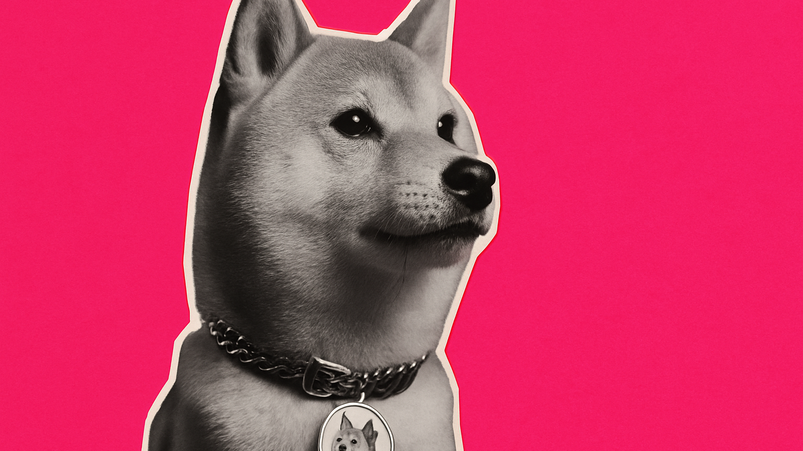 Dogecoin balza in alto con Bitcoin e meme coin