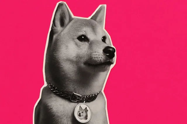 Dogecoin balza in alto con Bitcoin e meme coin