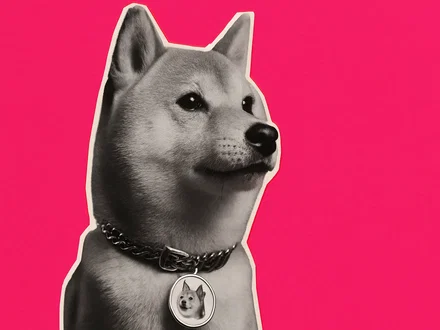 Dogecoin balza in alto con Bitcoin e meme coin