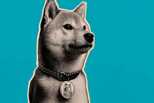 Dogecoin crolla mentre Bitcoin perde i guadagni
