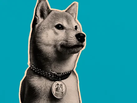 Dogecoin crolla mentre Bitcoin perde i guadagni