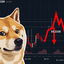 Dogecoin crolla: rischio crash maggiore in vista?