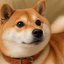 Dogecoin: il fattore chiave per il rialzo