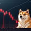 Dogecoin in caduta: gli analisti avvertono i bull
