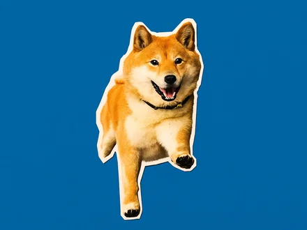 Dogecoin raggiungerà mai quota 1 dollaro?