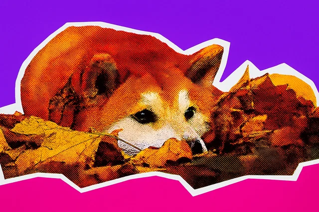 Perché Dogecoin sta salendo oggi