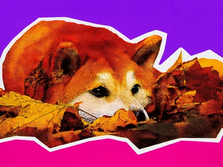 Perché Dogecoin sta salendo oggi