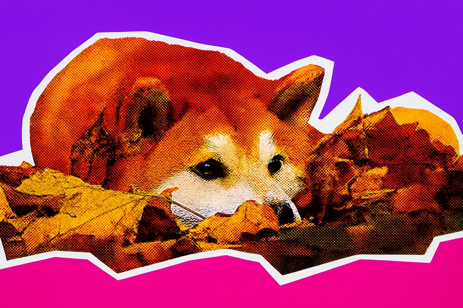 Perché Dogecoin sta salendo oggi