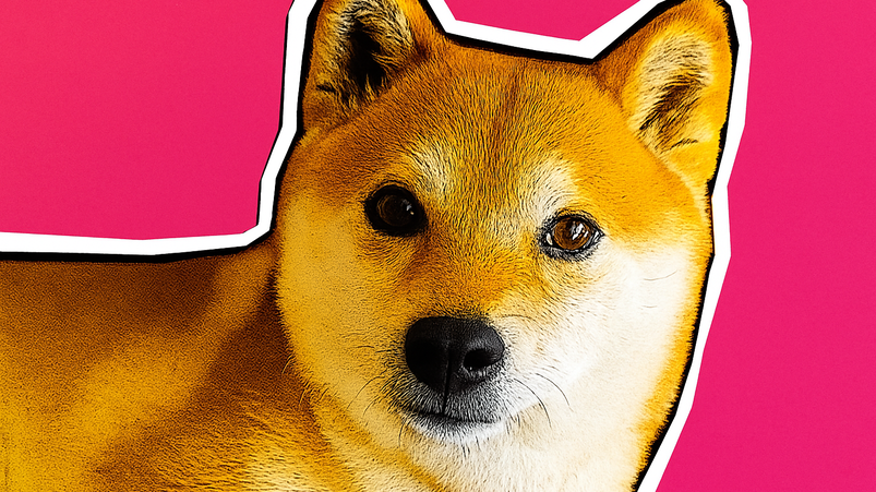 Perché eviterei Shiba Inu a tutti i costi