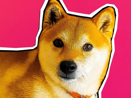 Perché eviterei Shiba Inu a tutti i costi