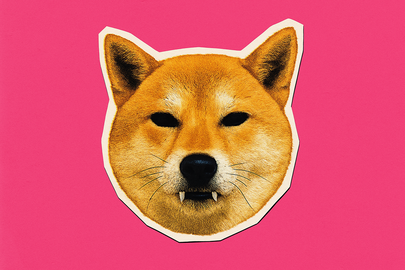 Shib punta a $0,00001019 nonostante i segnali neutri