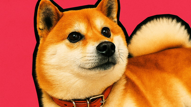Shiba Inu in rialzo: ecco i motivi del boom