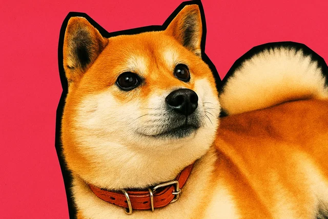 Shiba Inu in rialzo: ecco i motivi del boom
