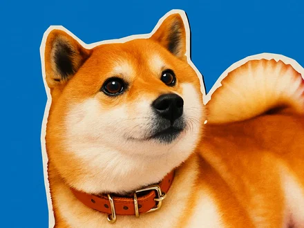 Shiba Inu: previsioni per il prossimo anno