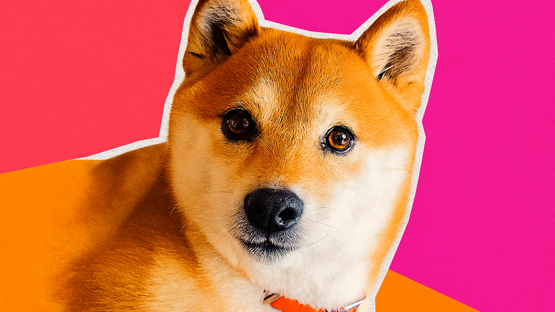 Shiba Inu può raggiungere $1 nel 2026?