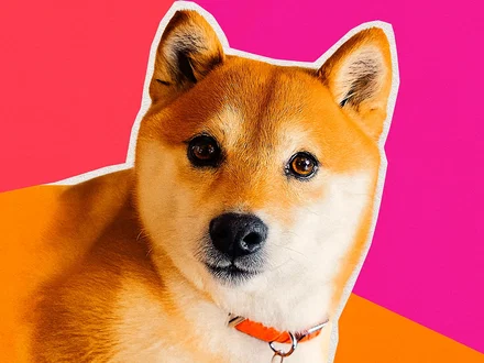 Shiba Inu può raggiungere $1 nel 2026?