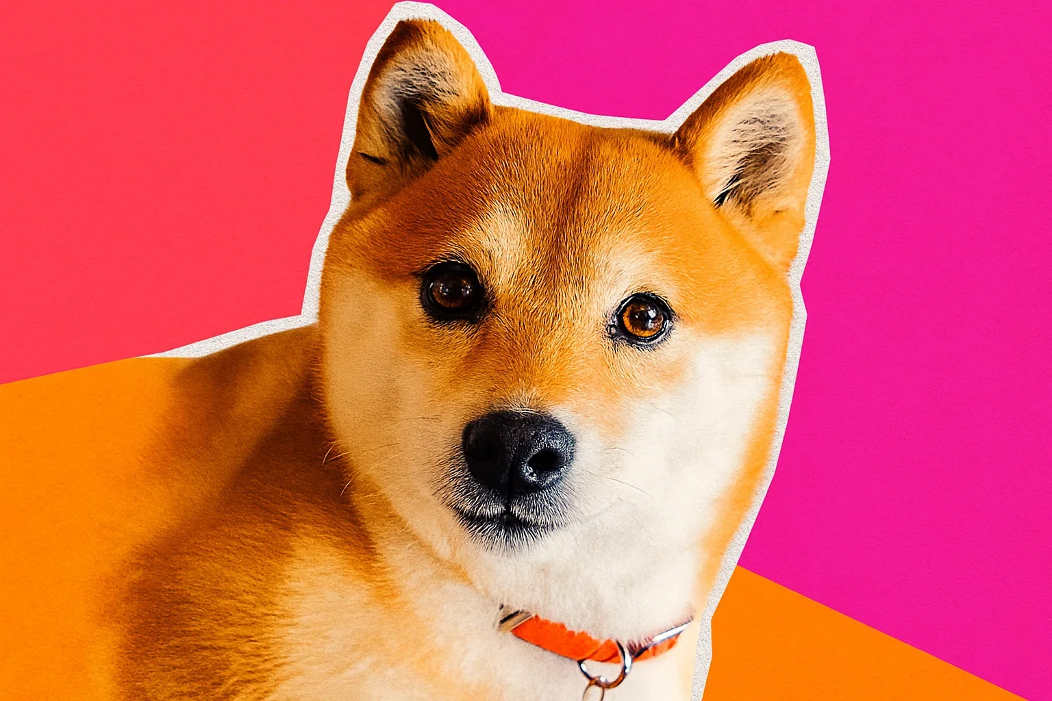 Shiba Inu può raggiungere $1 nel 2026?