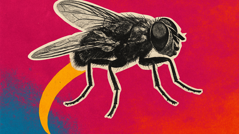 Shopify promossa, Coinbase declassata da analisti