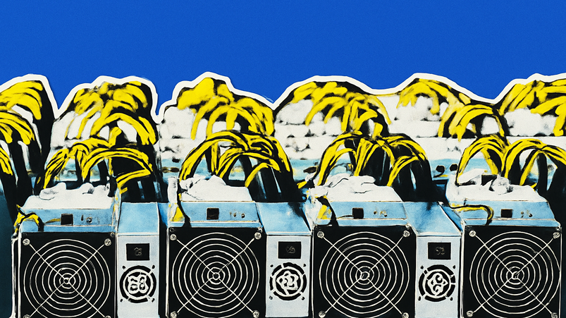 TeraWulf sale del 13% in una settimana: conviene?