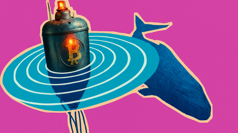 Una balena Bitcoin acquista tutta la supply giornaliera