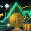 Nuovo token batte Shiba Inu e Chainlink secondo analisti