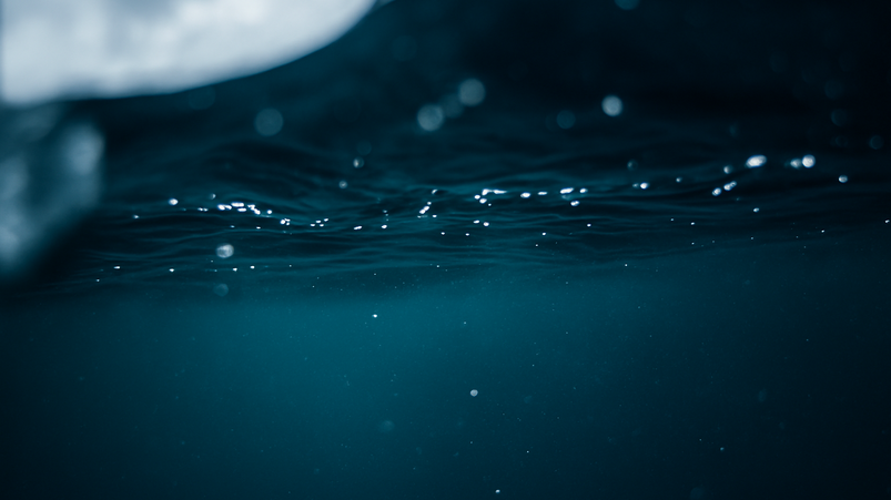 XRP a rischio: 42% degli holder in perdita