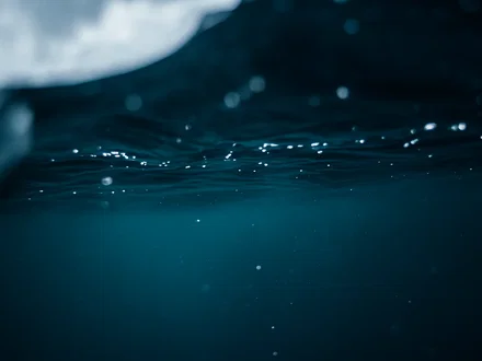 XRP a rischio: 42% degli holder in perdita