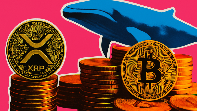 XRP raggiunge squilibrio liquidazioni del 8.700%