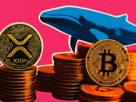 XRP raggiunge squilibrio liquidazioni del 8.700%